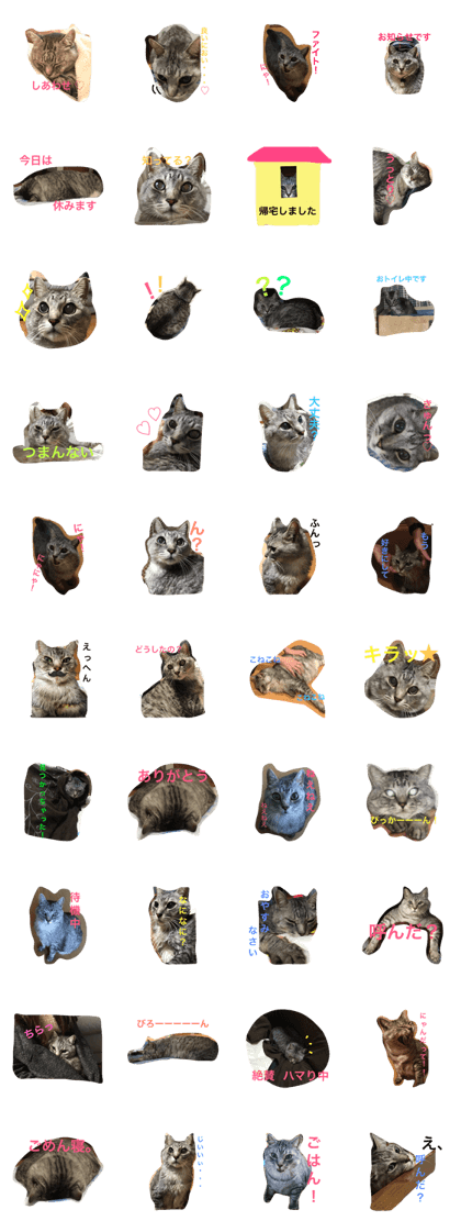 ruxu cute