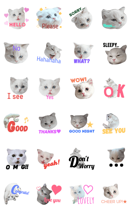 Joy kitty