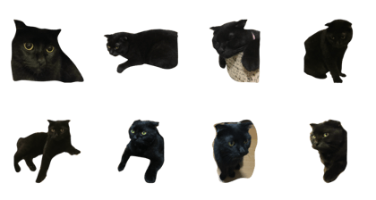 cat poon