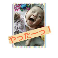 kocchi01