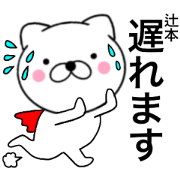 Name cat tsujimoto