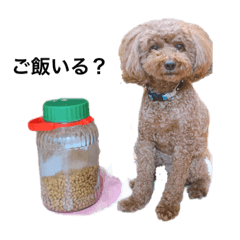 momoko_20210718183435