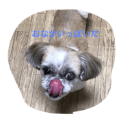SHIHTZU da WAN