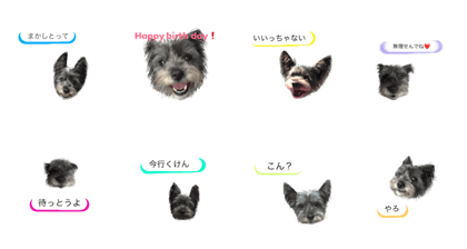 wes_shi 4