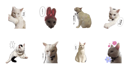 nya-suke#Cawaii