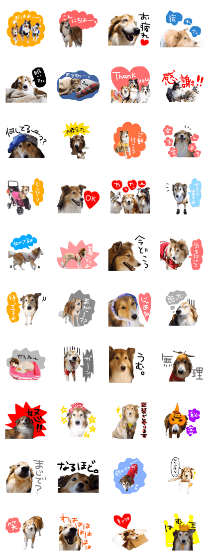 DOGDOG Sticker26