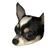 VanTang