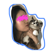 meaow