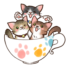 Cup Cat 3 Brothers