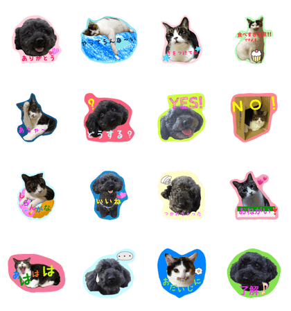 lovelydog&lovelycats2