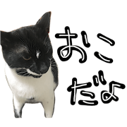 TOM    by Asuka