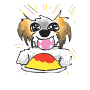 facial expressive Shih-Tzu! PACCHAN