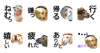 Reo,language