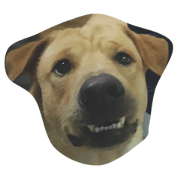 Giant Dog Dog
