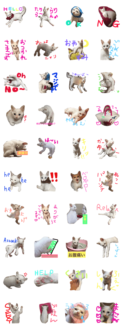 Faachan