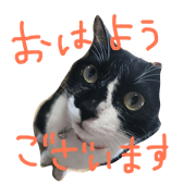 Greeting from Mita