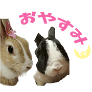 UCHINO USAGI'SSticker
