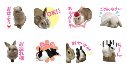 UCHINO USAGI'SSticker