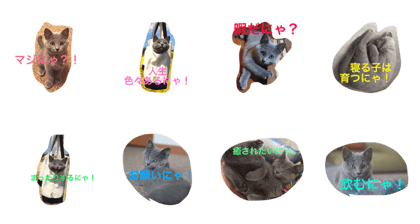 lovely cat okome chan