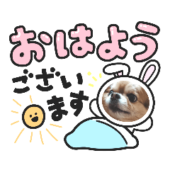 azu_20210718224924