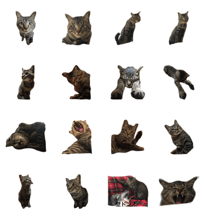 Manekineko CHOCO