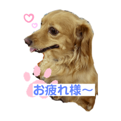 rina_20210718233952