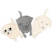 sakura&komugi&azuki