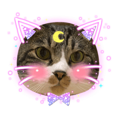 tomomi_20210718175729