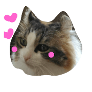 myuuko2