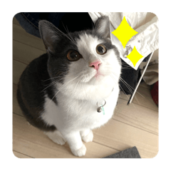 nanami_20210718181548