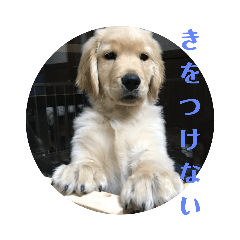 miki_20210719102413
