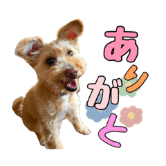 suzu_20210718194054