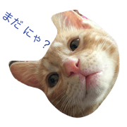 Message_for.ryu