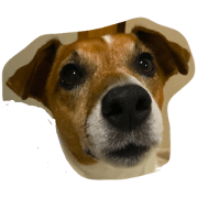 JRT ANNA