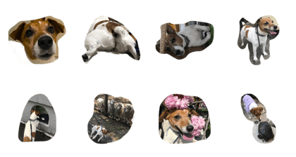 JRT ANNA