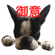 KOJIKUN