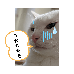 aozora_20210718210952