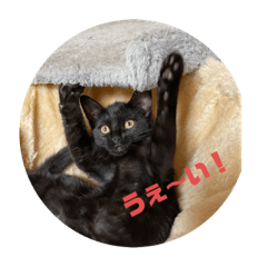 kaori_20210718205334