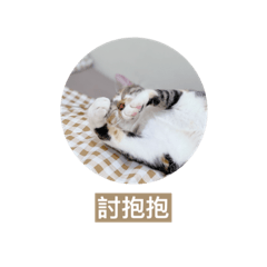 Hana表情包part 1