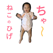 shihochannotubuyaki