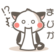 shirokuro cat.