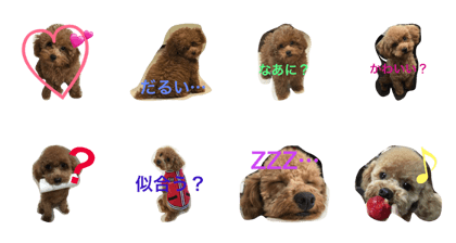 Azatoypoo