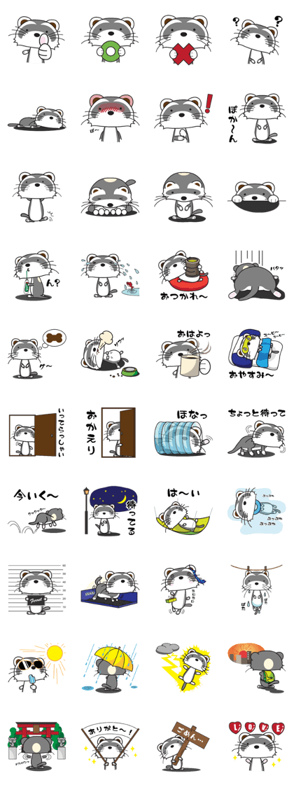 Ferret boy "Koh"