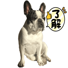 ohukuchan