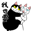 賓士貓Ohagi 7