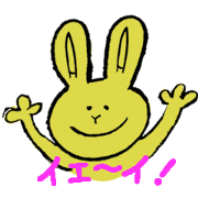 AYAchan rabbit