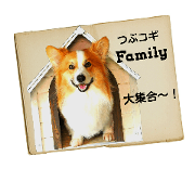 Tsubufamilylove