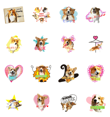 Tsubufamilylove