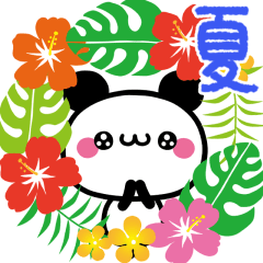 Panda-chan summer