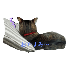 Yanagi_20210719123515